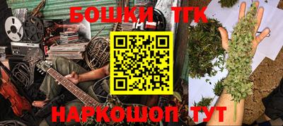 индика Пенза