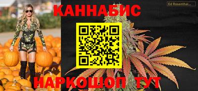 индика Пенза