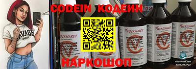 индика Пенза