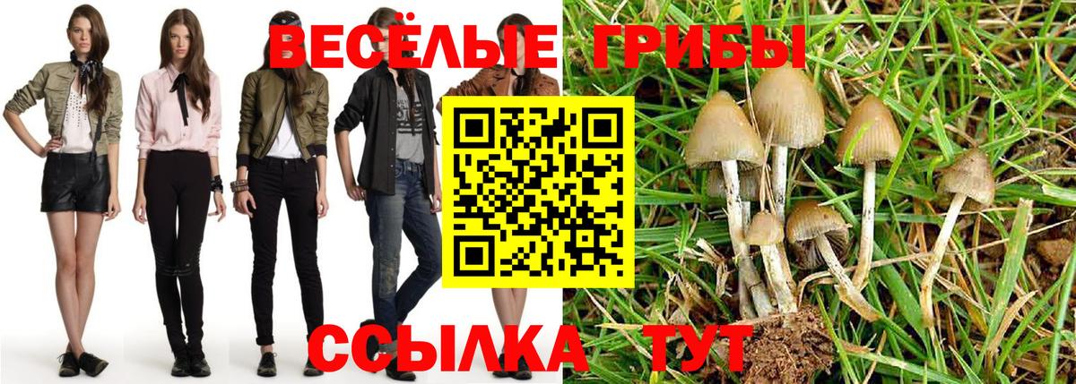 Пыть-Ях  Псилоцибиновые грибы Psilocybe  Вход с VPN  Галлюциногенные грибы Magic Shrooms 